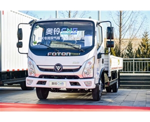 奧鈴氣體機(jī)